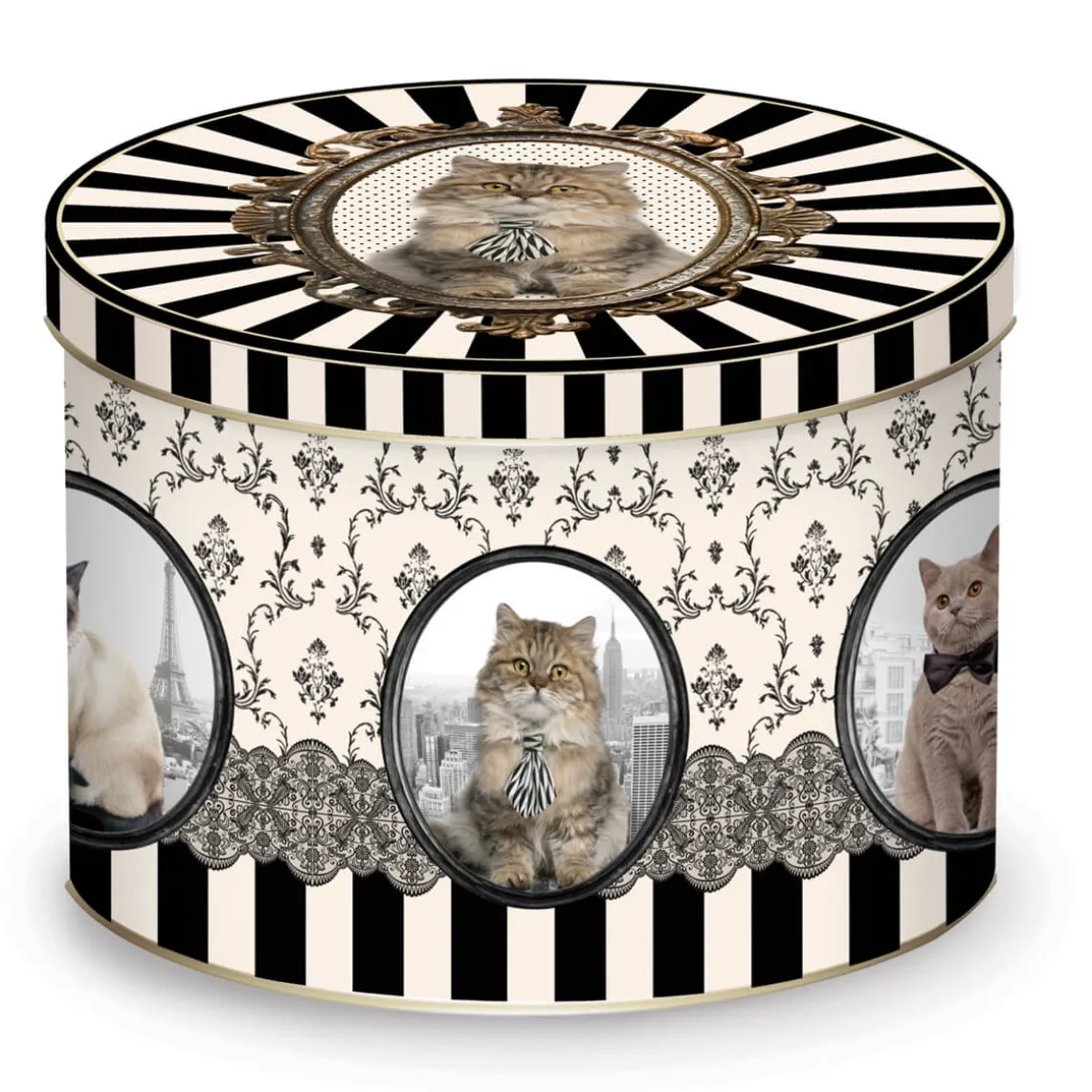 Tasse en porcelaine dans une boîte en fer-blanc BAROCCO CATS VersB